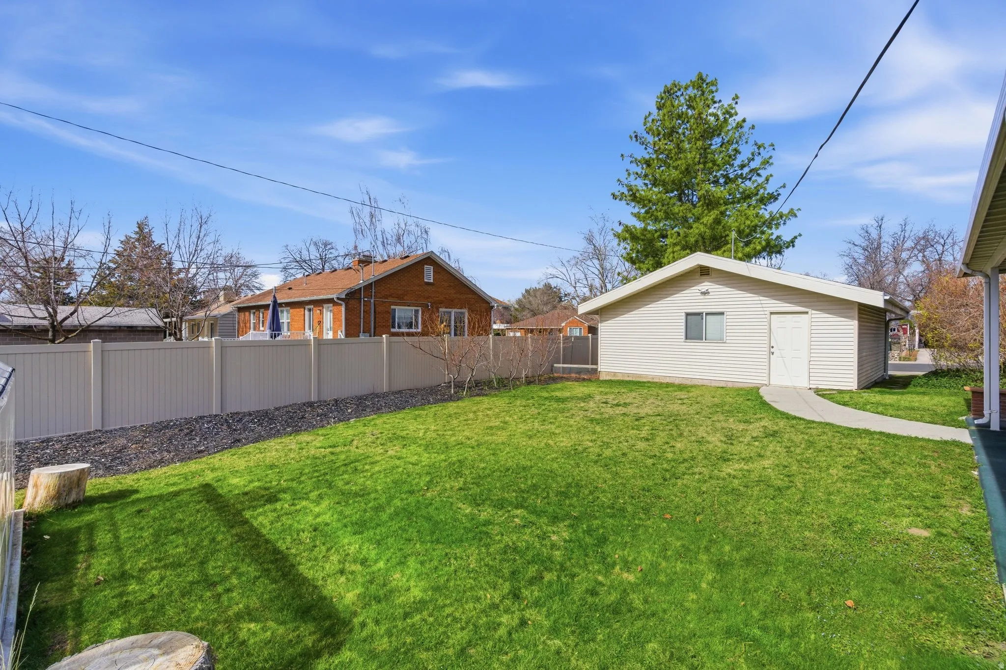Spacious fenced backyard featuring a lawn and thriving peach trees. A serene outdoor space with plenty of room for play and relaxation.