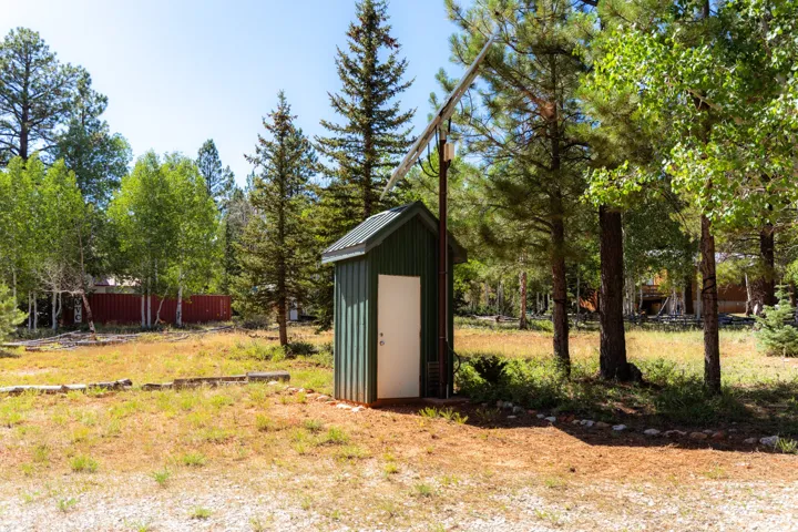 View of yard featuring a storage unit and view of wooded area