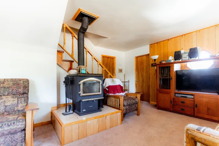 Living area featuring a wood stove, light carpet, and wooden walls