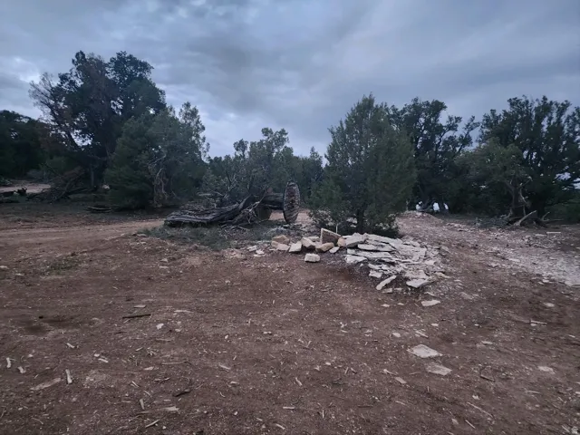 View of nature