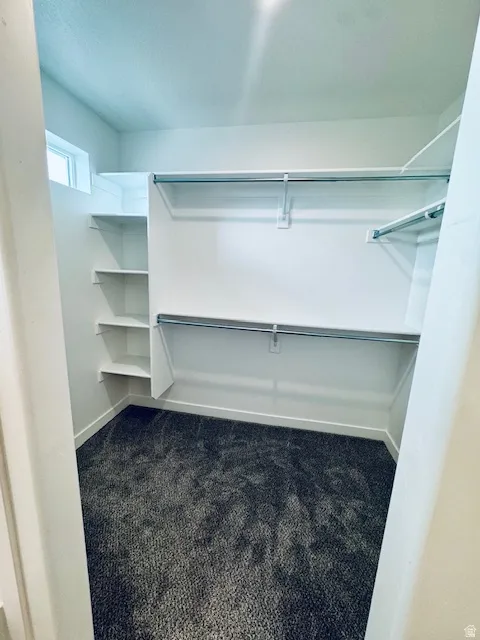 Walk in closet with dark carpet