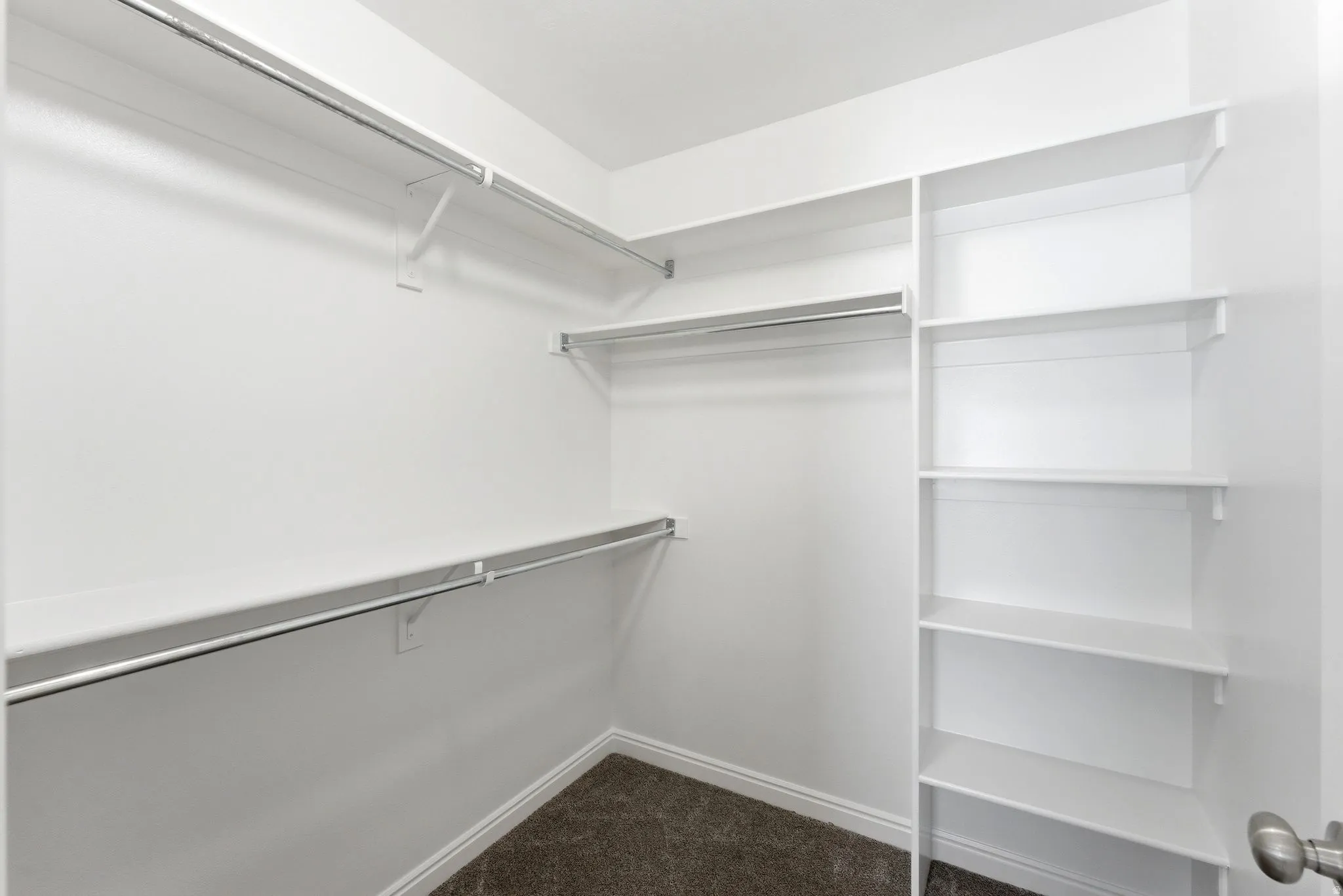 Walk in closet with dark carpet