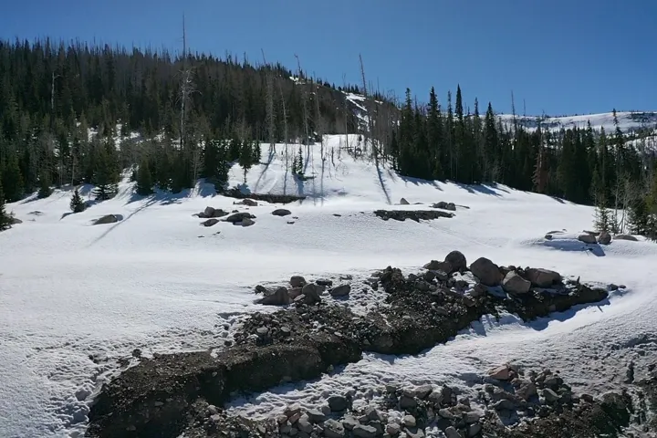 Snowy aerial view featuring a view of trees