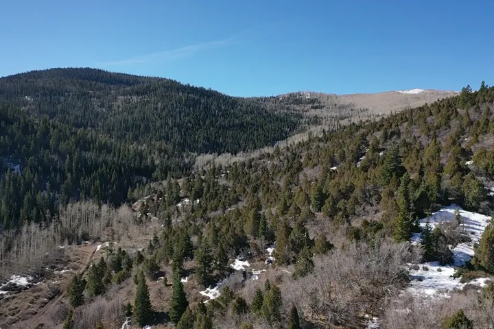 View of mountain backdrop featuring a forest