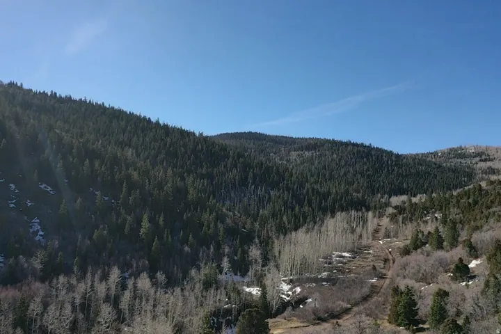 Mountain view featuring a forest