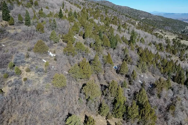 Bird's eye view of a mountain backdrop and a heavily wooded area