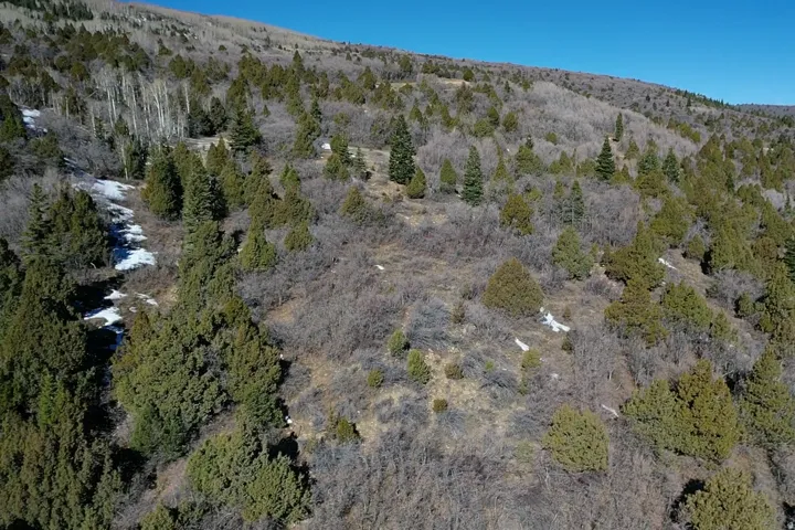 Bird's eye view of a heavily wooded area