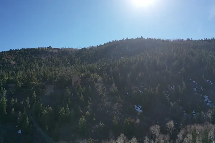 View of mountain backdrop with a heavily wooded area