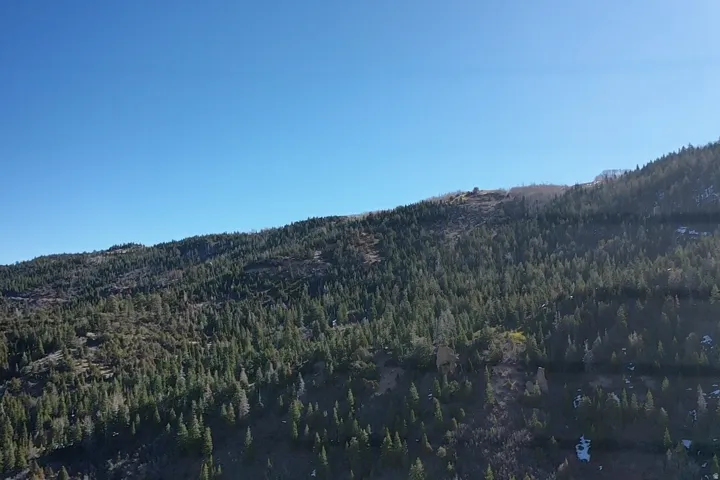 View of mountain background featuring a forest