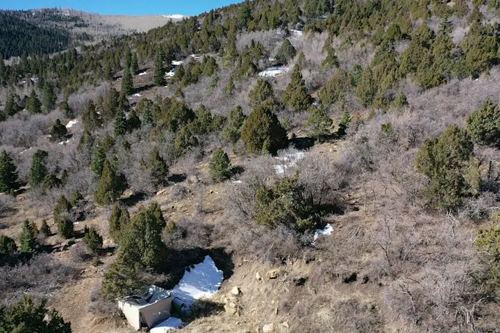 Aerial view of mountains and a forest