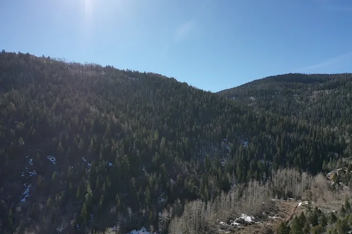 View of mountain backdrop featuring a heavily wooded area