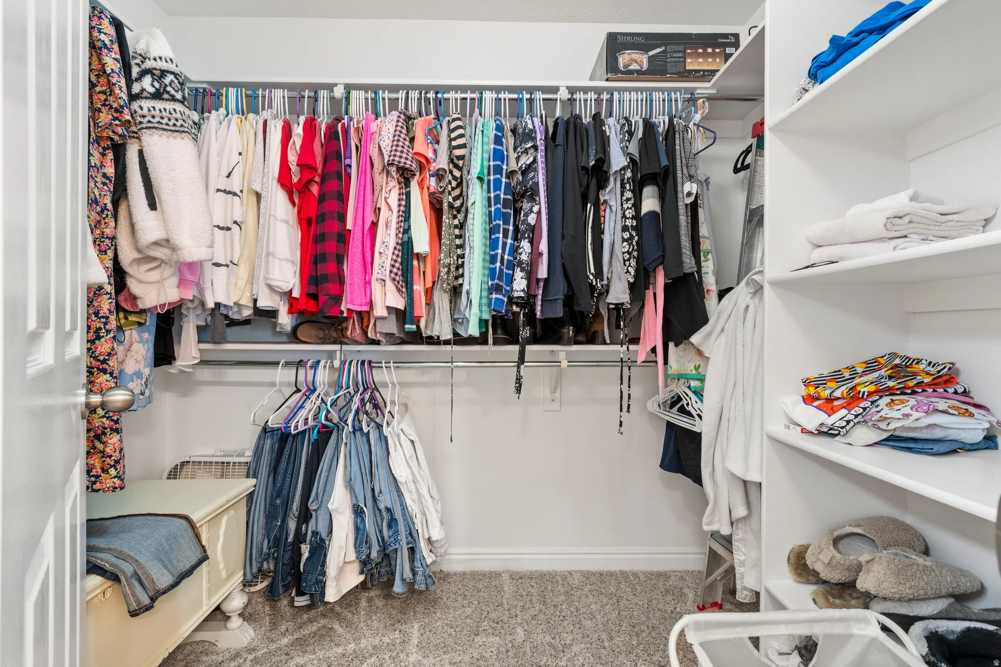 Walk in closet with carpet