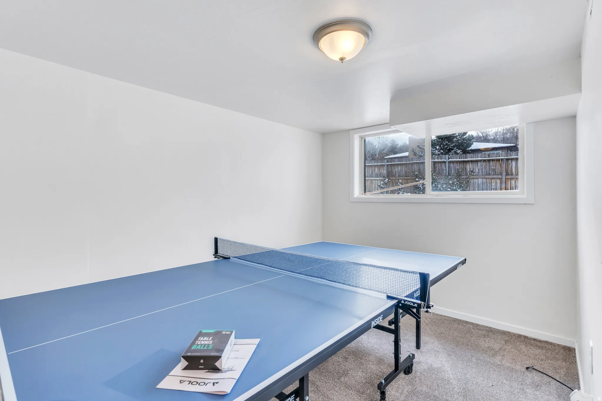 Rec room with carpet and baseboards