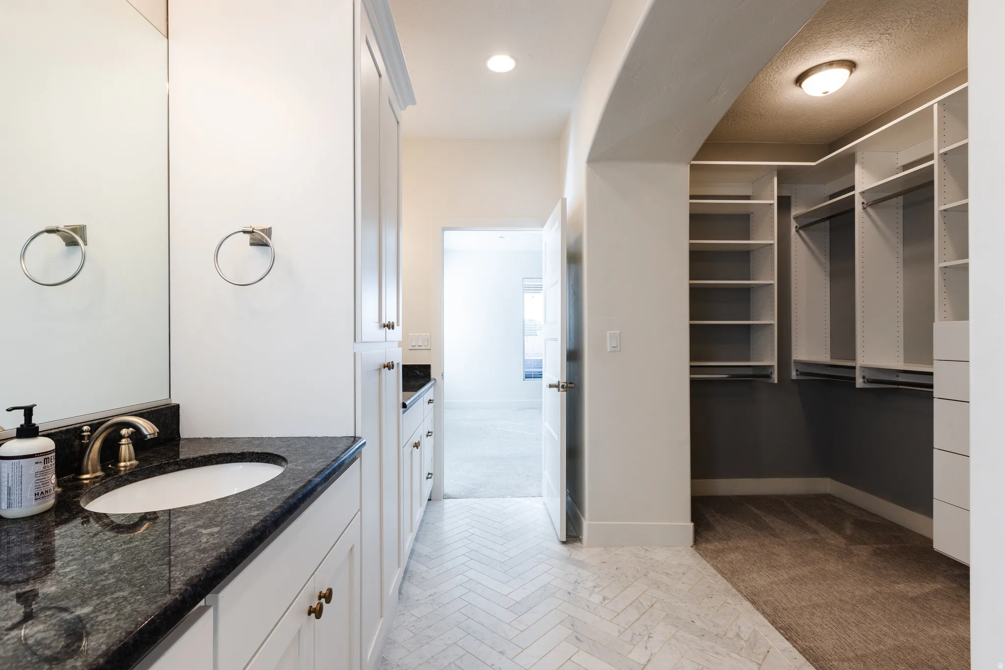 Bathroom featuring vanity, a walk in closet, and light carpet