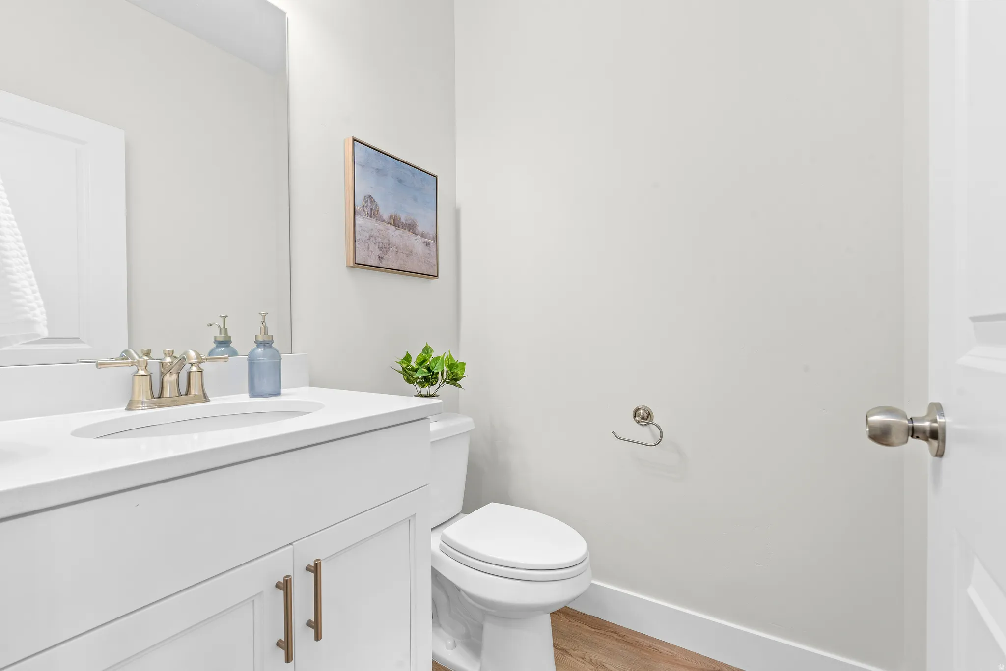 Half bath featuring vanity and light wood-style floors