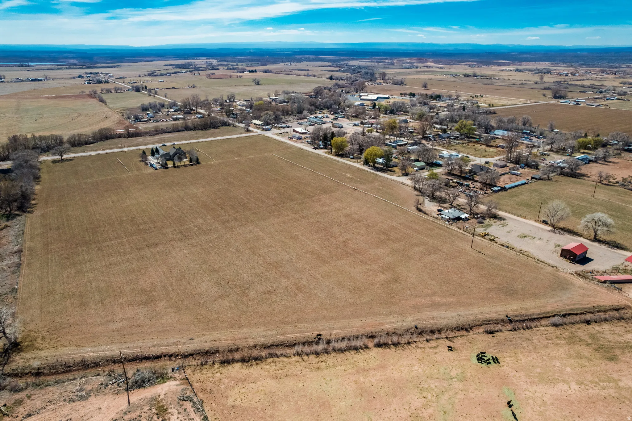 Aerial view of sparsely populated area featuring rows of crops
