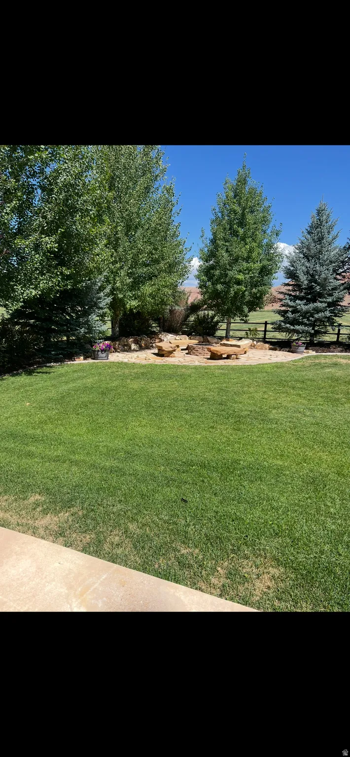 View of grassy yard