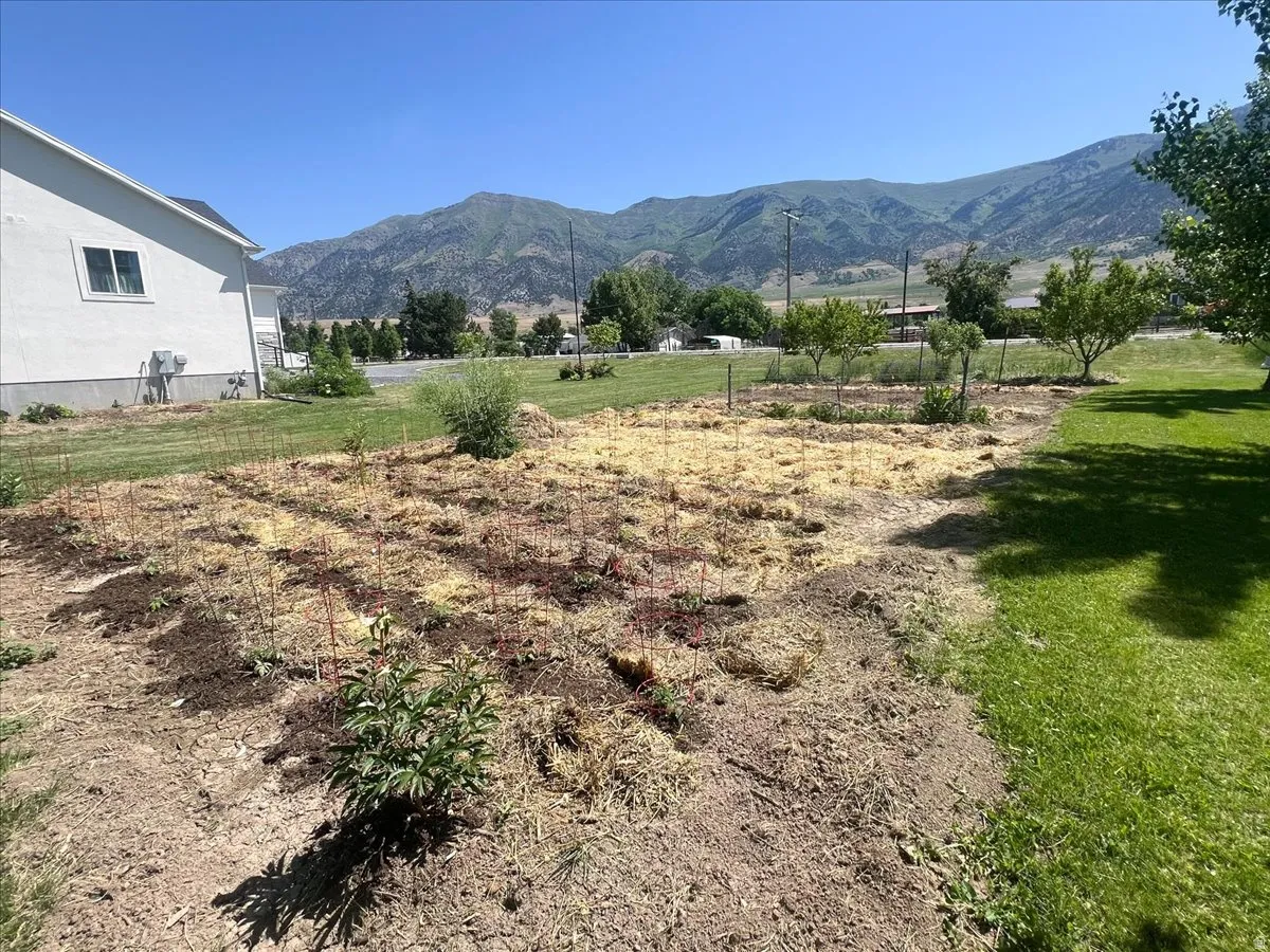 Mountain view featuring rural landscape