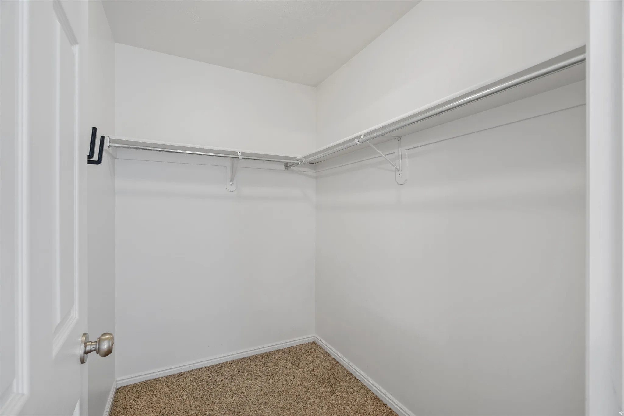 Walk in closet featuring carpet flooring