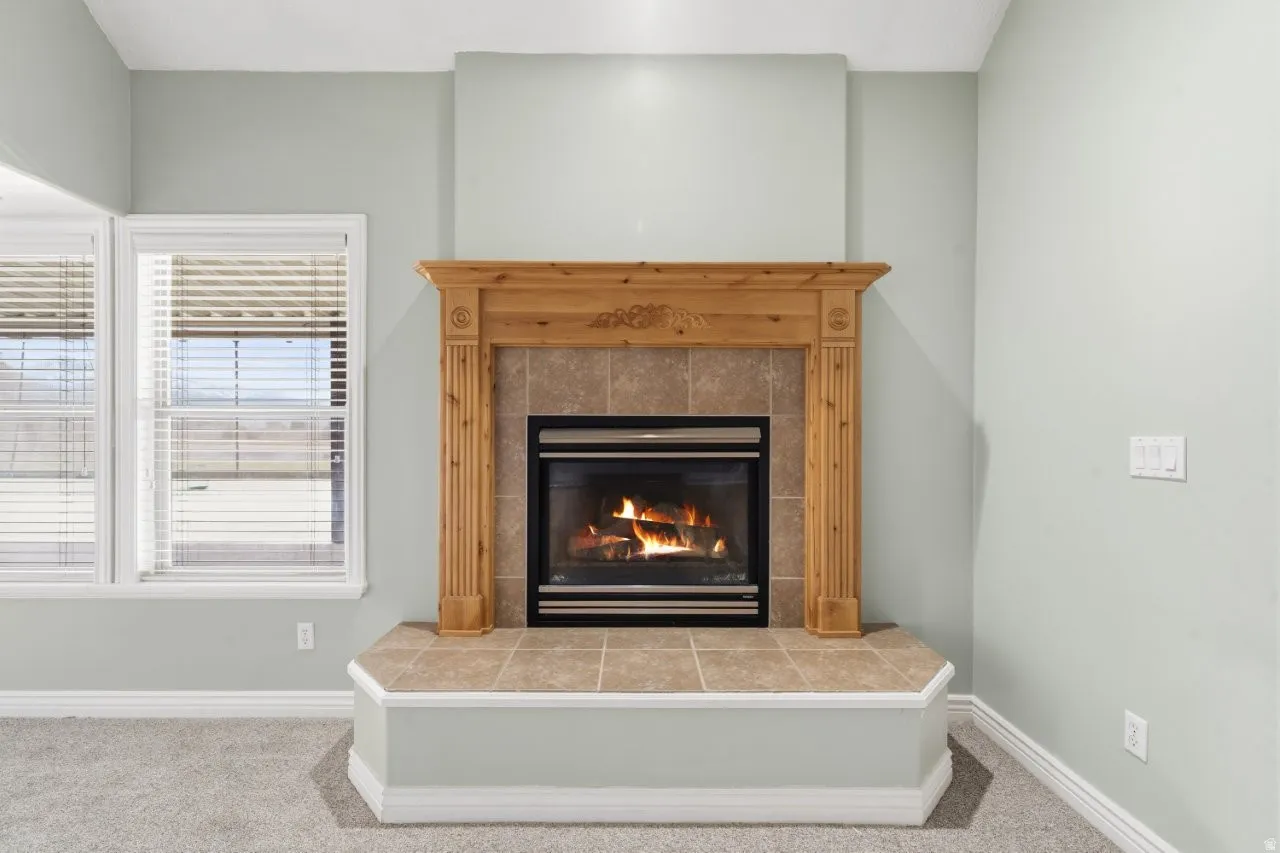 Detailed view of carpet and a fireplace