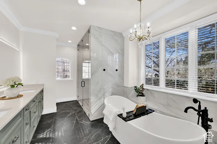 Full bath featuring ornamental molding, a shower stall, dark marble finish floors, a freestanding tub, and double vanity
