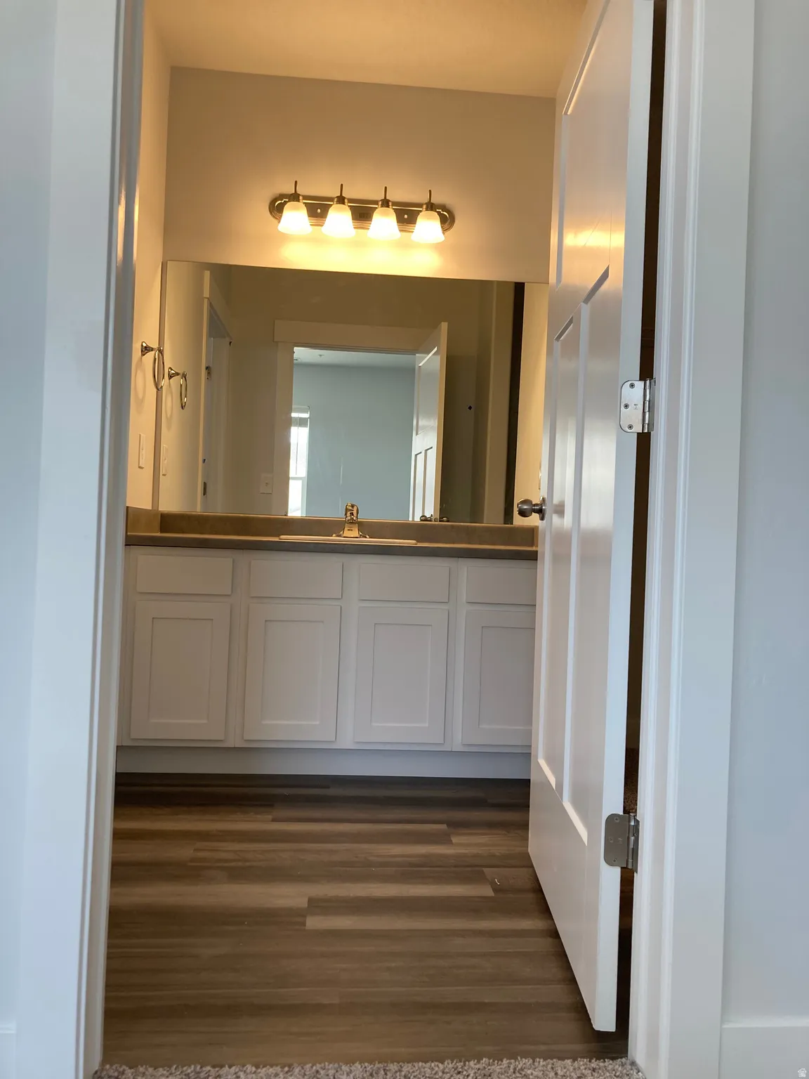 Bathroom featuring vanity and dark wood-style flooring