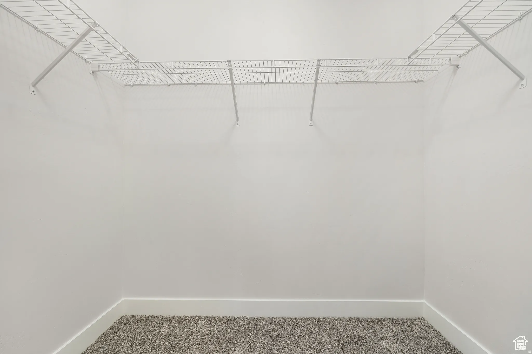 Walk in closet featuring carpet