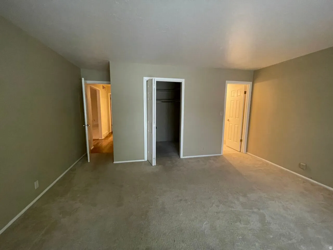 Master bedroom with a walk in closet and carpet
