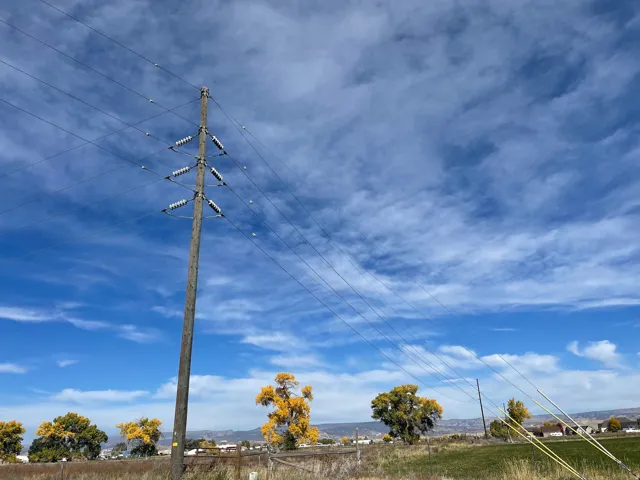 View of home's community