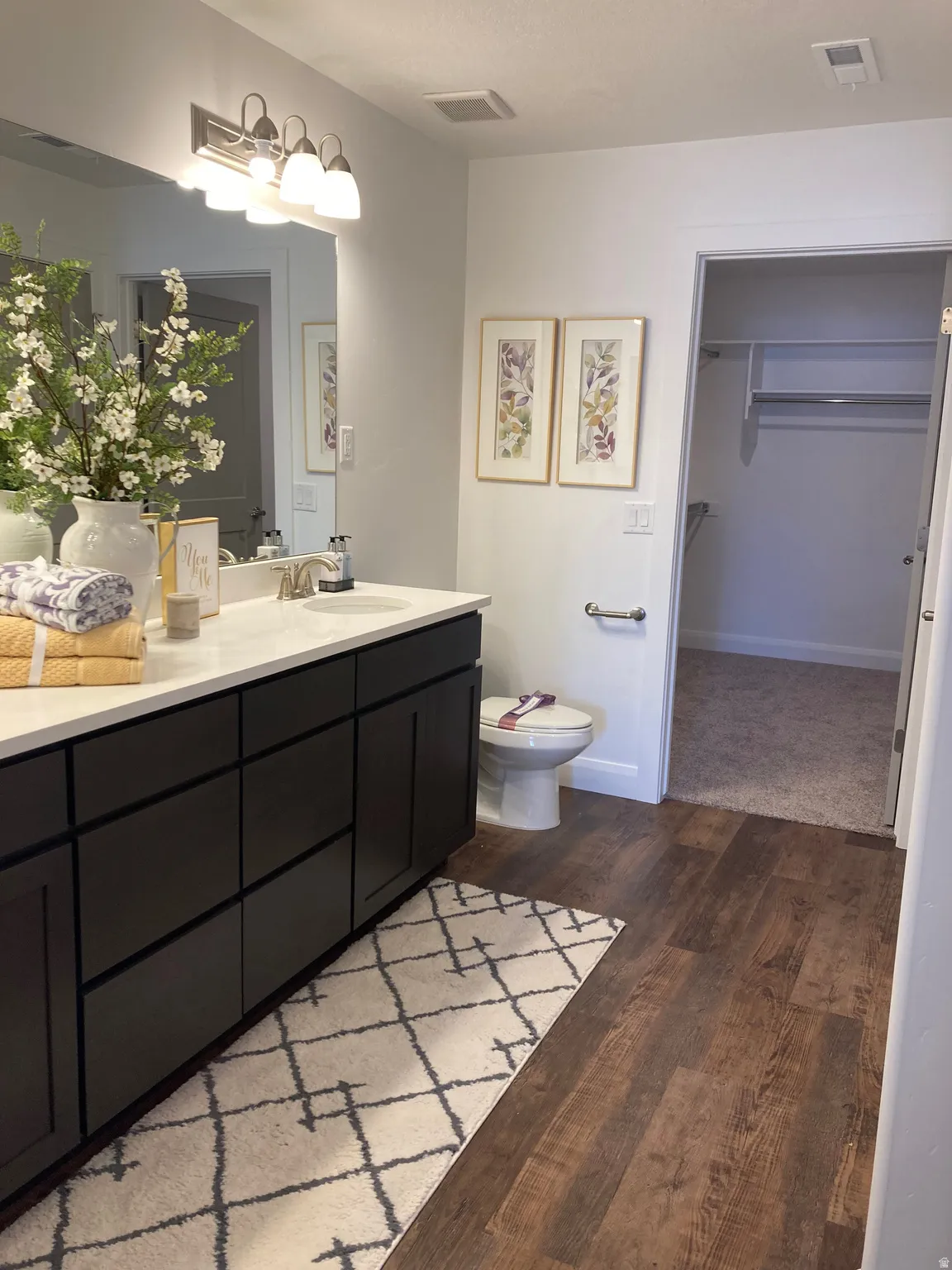 MODEL Full bath featuring vanity, a walk in closet, and dark wood-type flooring
