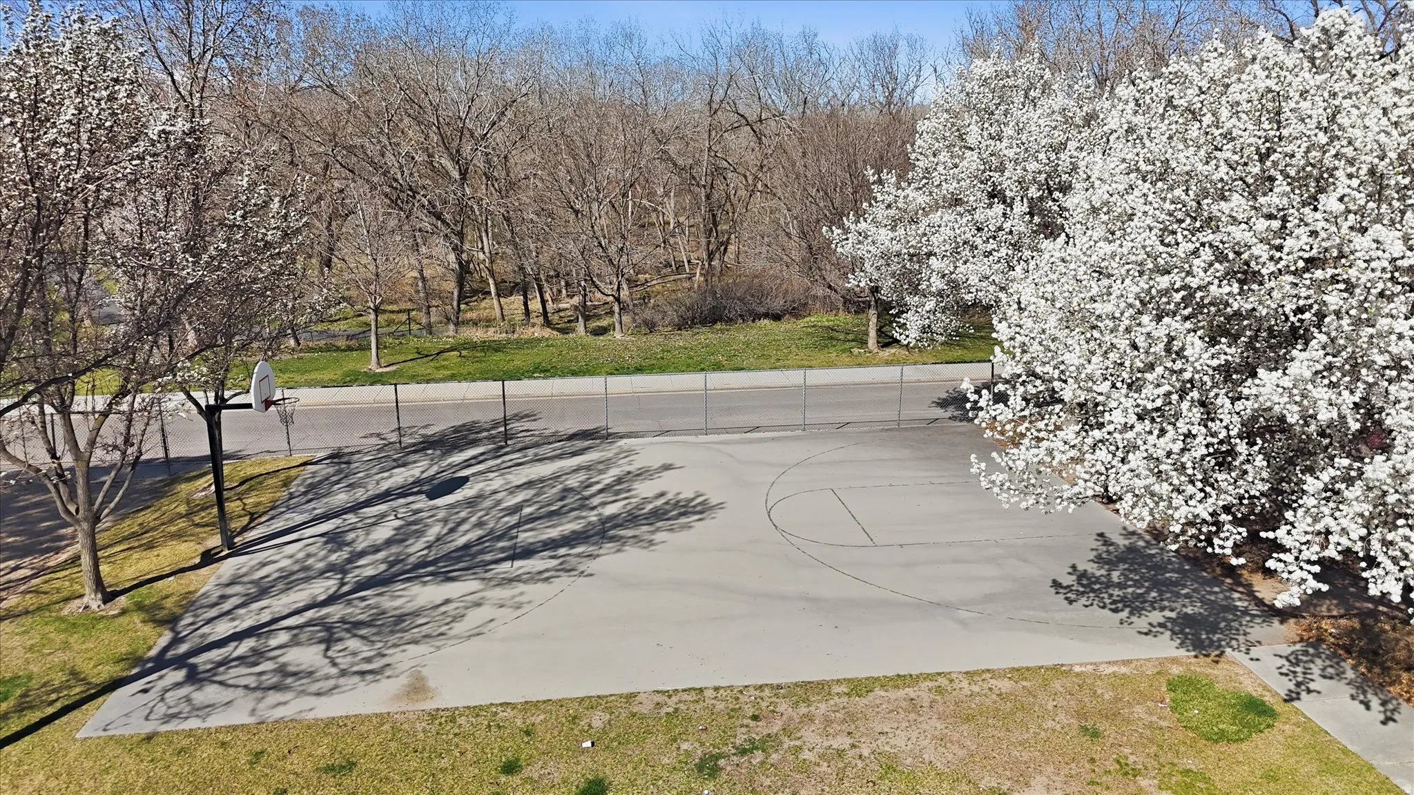 View of yard with view of wooded area and community basketball court