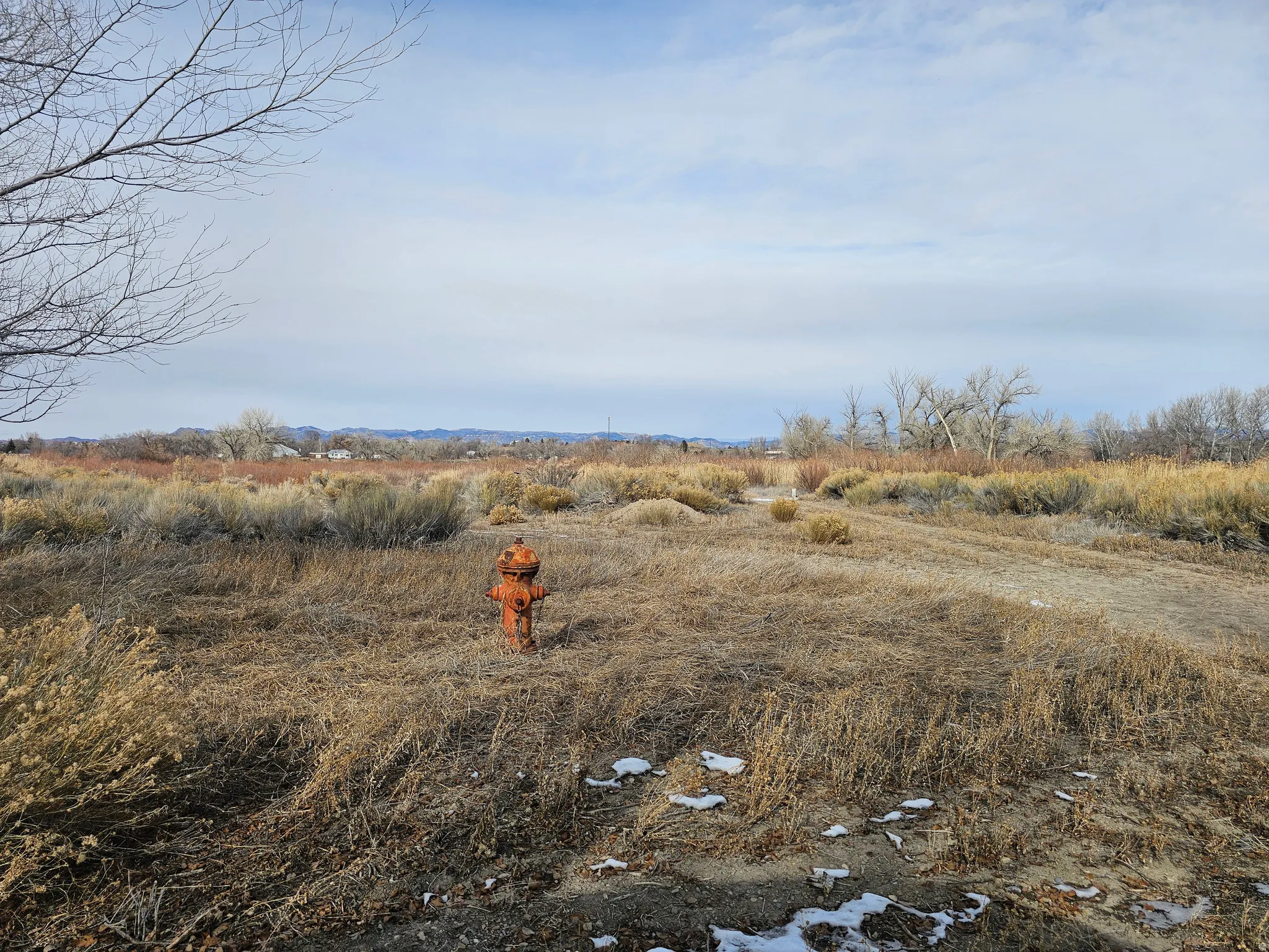 View of yard featuring a rural view