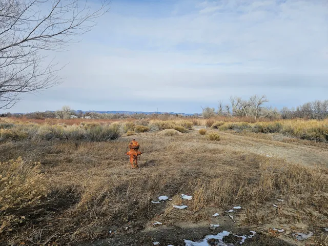 View of yard featuring a rural view