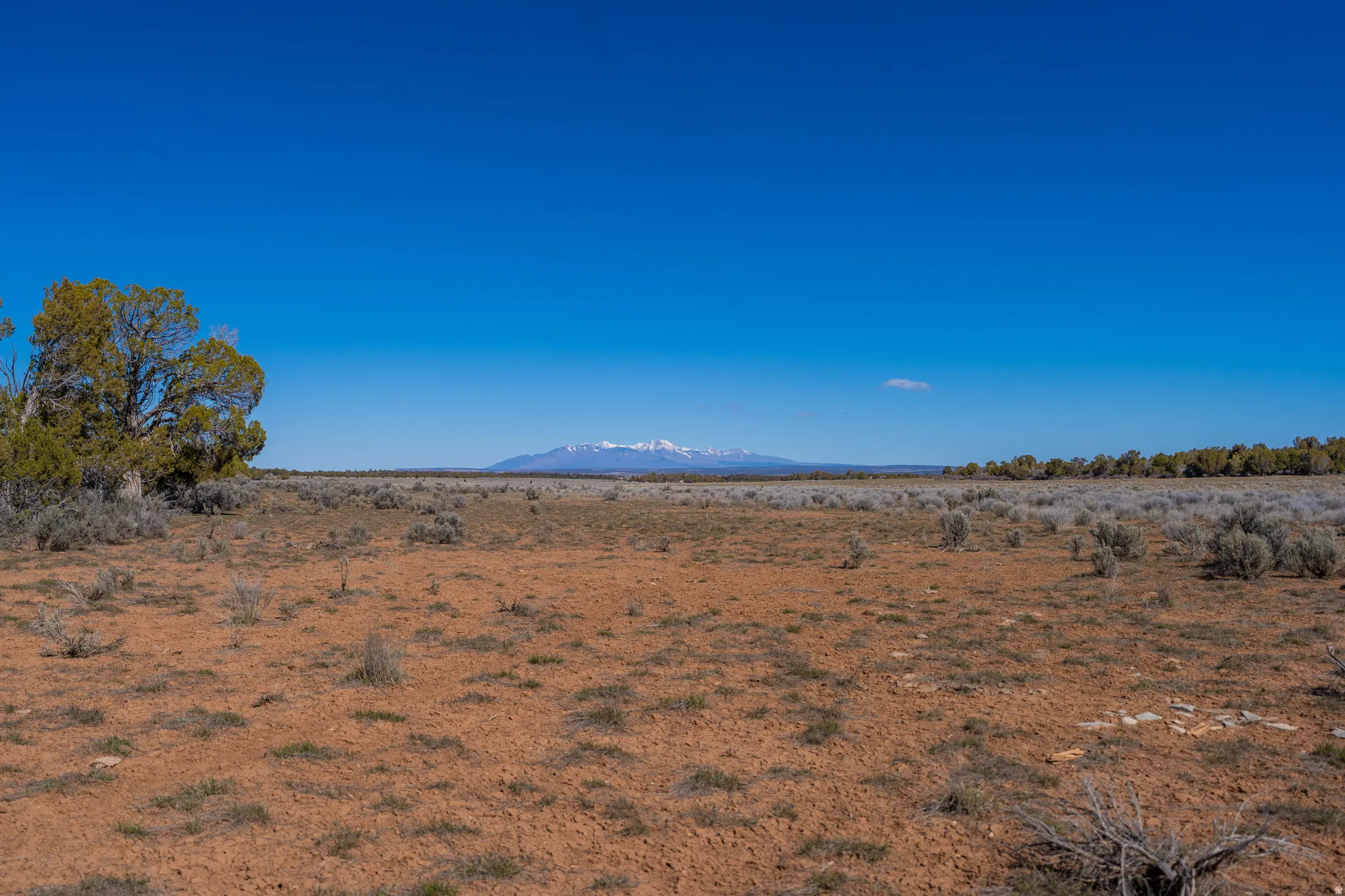 clearing up the middle of the property facing north with views of the La Sal mountains