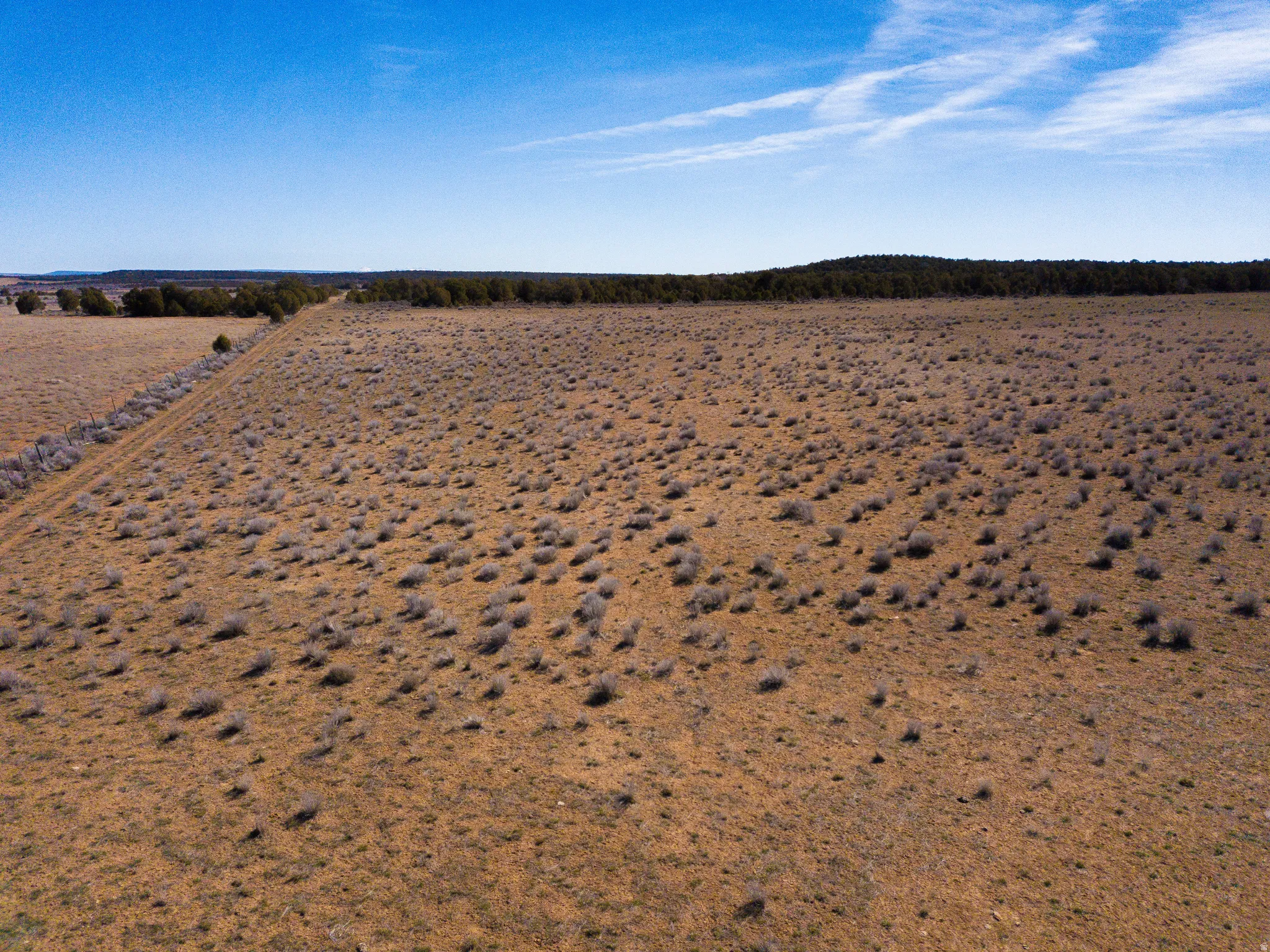 Middle of the north end of the property facing east.