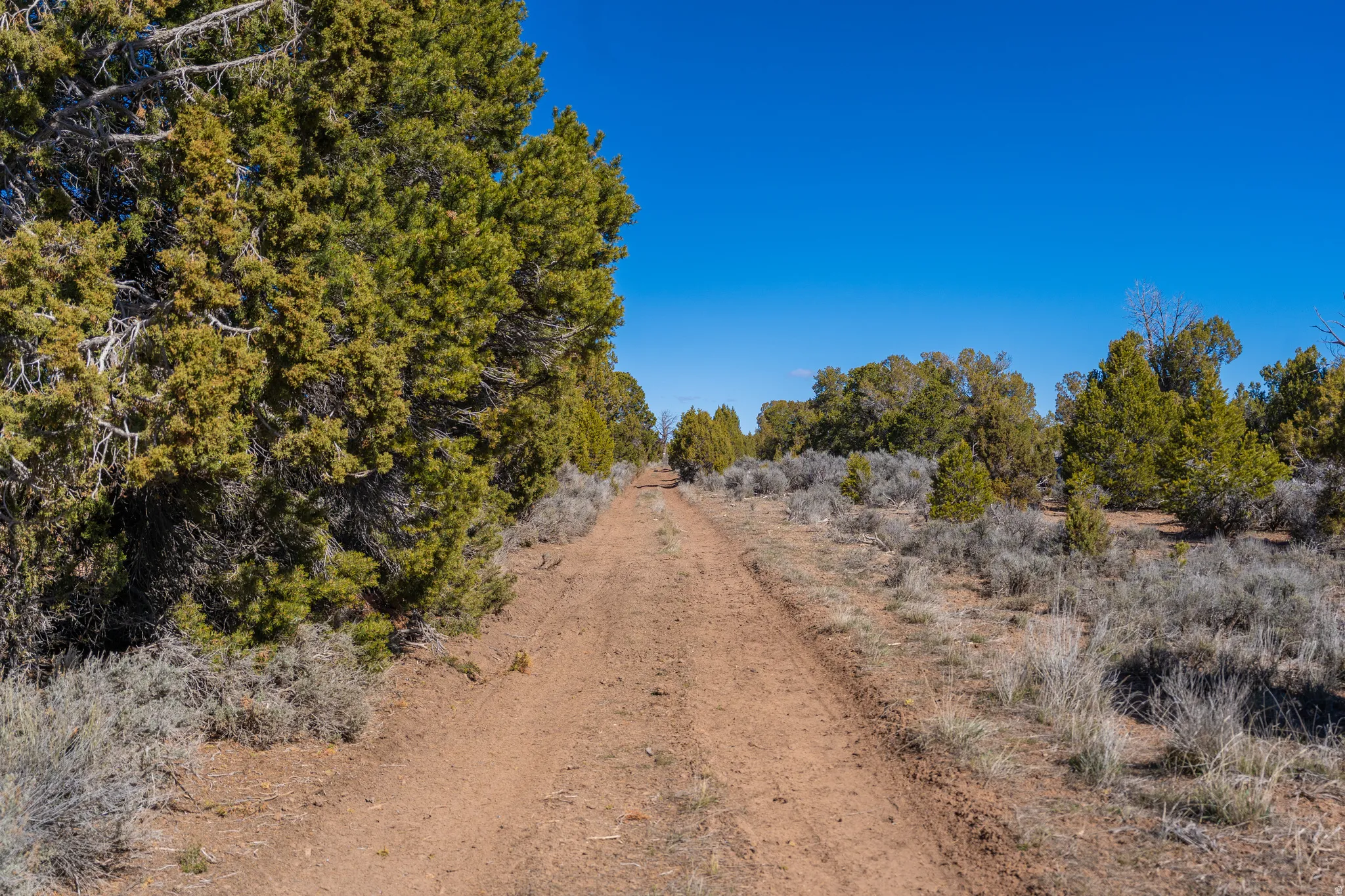 Road heading north along the west border
