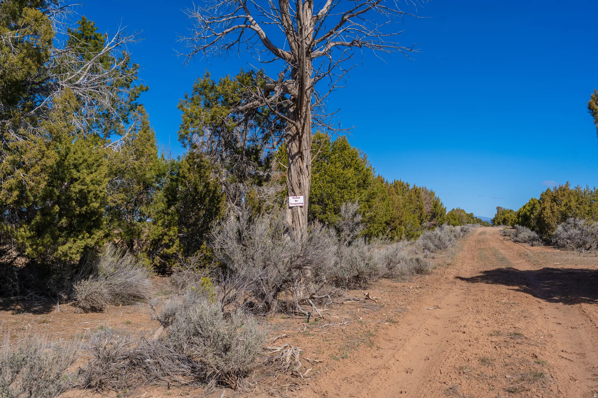 Road heading north along the west border
