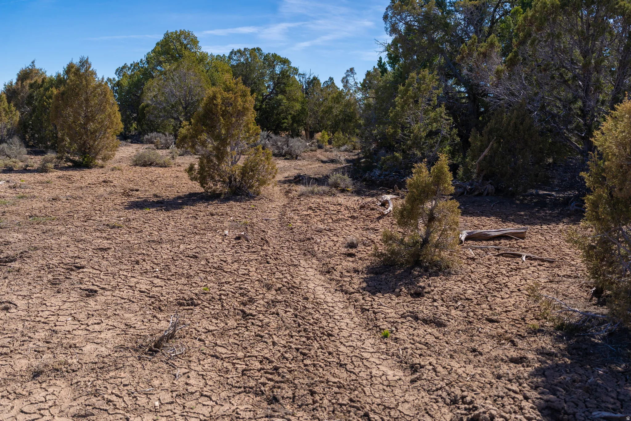 Wildlife trail