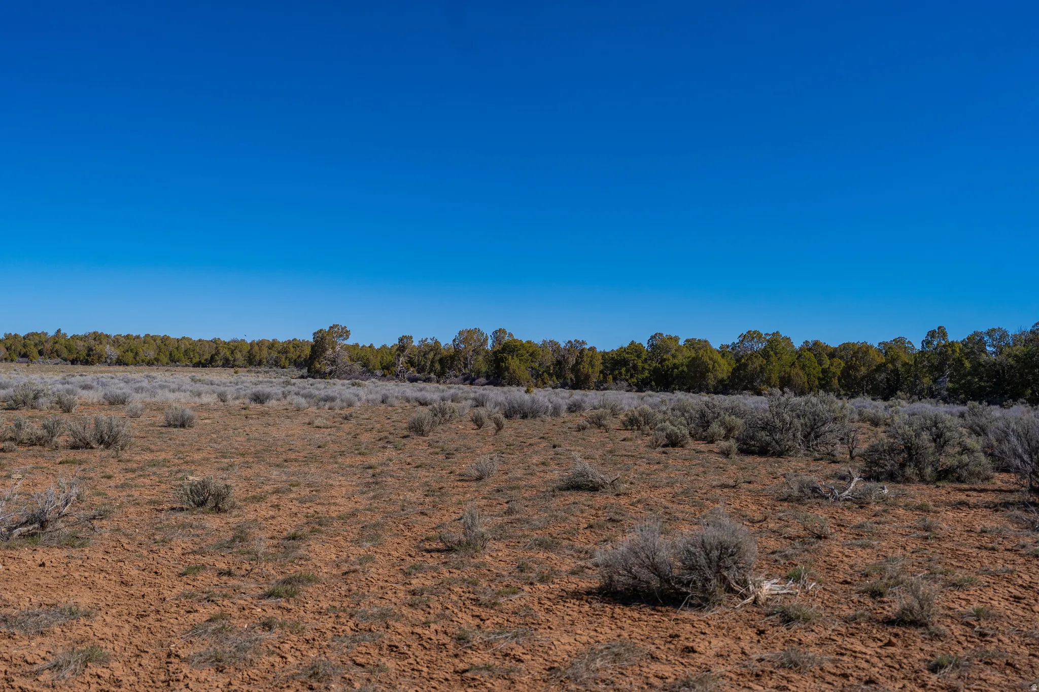 clearing in middle of property