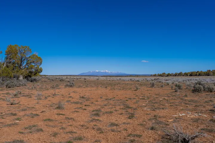 clearing up the middle of the property facing north with views of the La Sal mountains