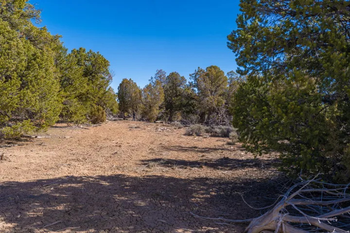 335 N North Old Hwy, Monticello, Utah 84535