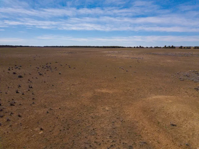 Middle north end of the property facing south