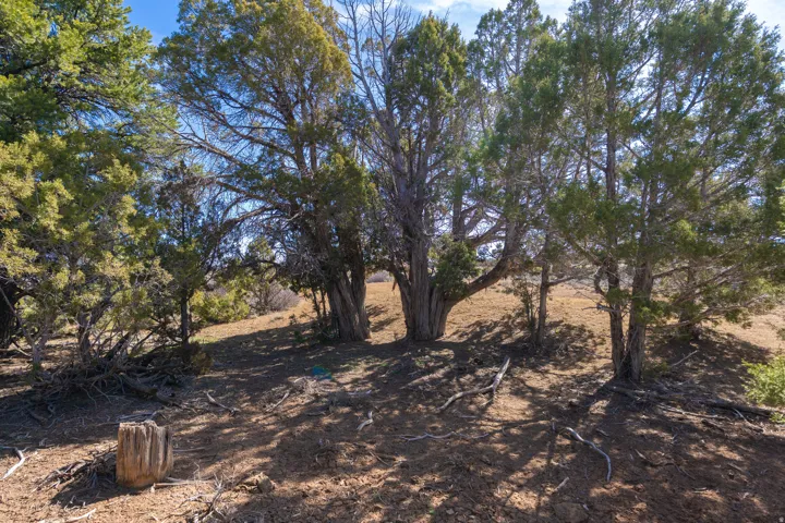 335 N North Old Hwy, Monticello, Utah 84535