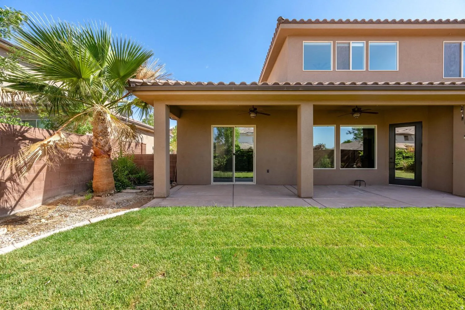 Expansive backyard featuring a lush green lawn, concrete patio, covered patio area with ceiling fans, a single palm tree, and a stucco exterior with multiple windows and doors