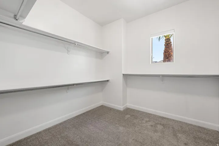Walk in closet with carpet flooring