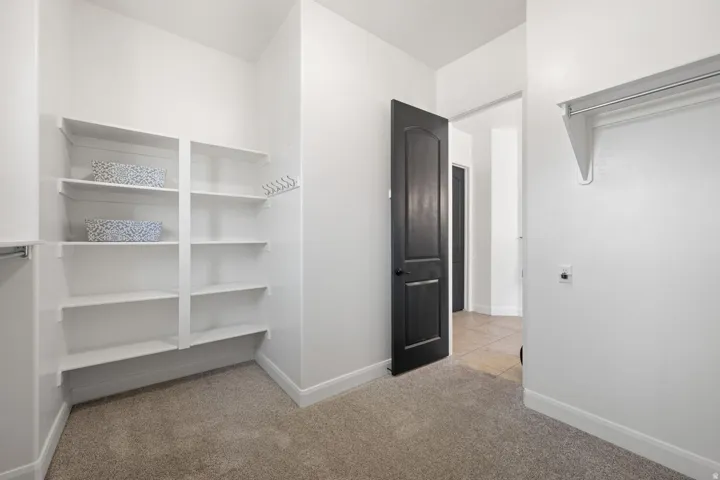 Walk in closet featuring light colored carpet