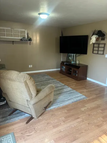 Living area featuring light wood-style floors