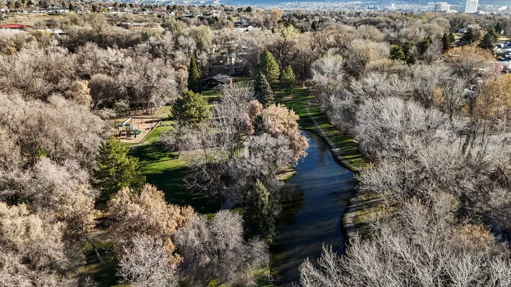 Aerial view of a tree filled landscape and a nearby body of water