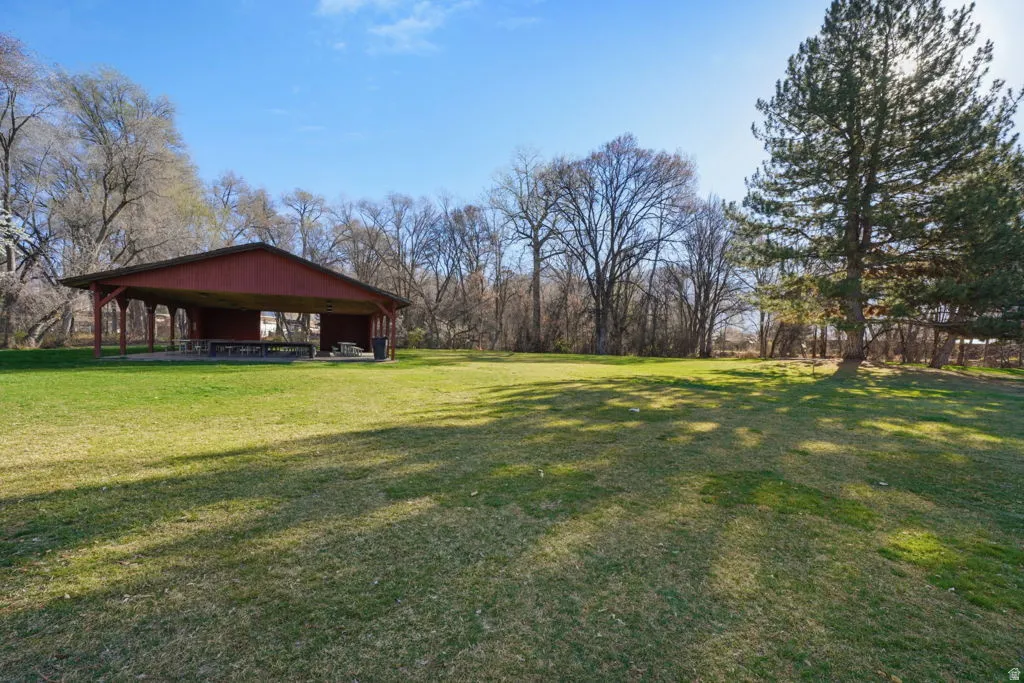 View of grassy yard with view of wooded area