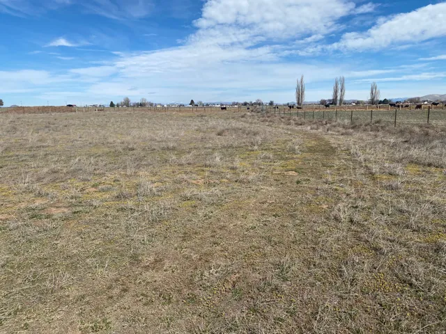 View of yard with a rural view